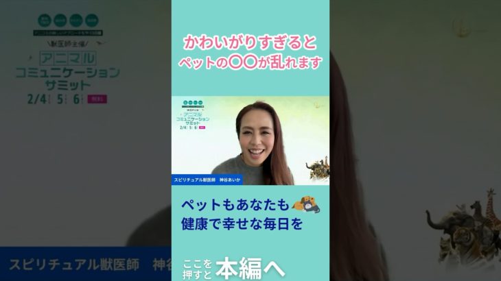 かわいがりすぎるとペットの〇〇が乱れます #ペット #獣医師が解説