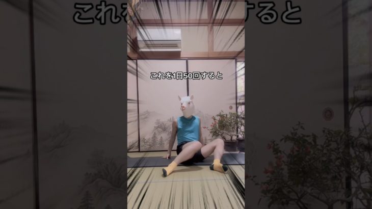 ダイエット・エクササイズ#ダイエットトレーニング  #ダイエット #ショート #宅トレ #エクササイズ #痩せる #痩せる運動 #痩せる筋トレ