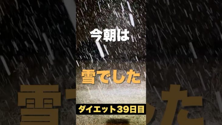 ダイエット３９日目