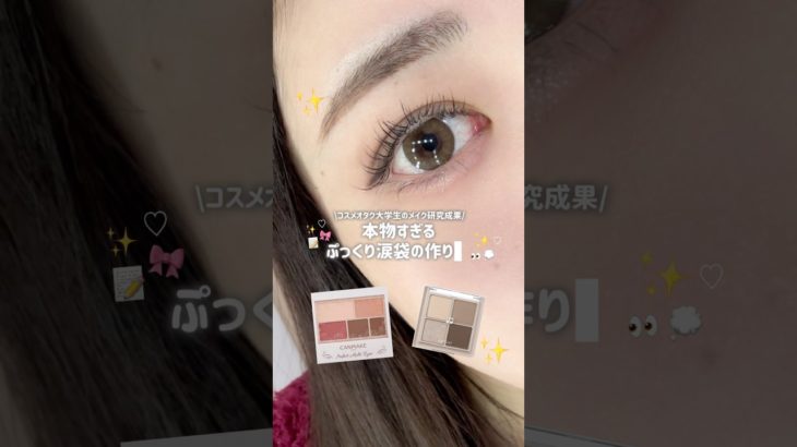 【保存版】過去一ホンモノみたいなぷっくり涙袋メイク解説💭👀コスメオタクの研究成果（？）🎀#涙袋メイク#垢抜け#アイメイク#コスメ #プチプラ