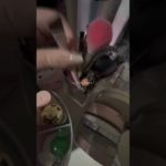 動画全部消そうかなって思ってる #おすすめに乗りたい #人気になりたい #コスメ #雰囲気 #雰囲気 #雰囲気ゲー #メイク