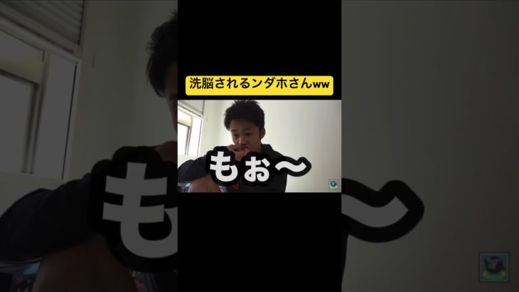 激うまトマトに洗脳されるンダホさん