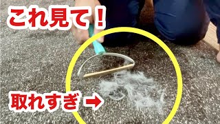絶対おすすめ！「ペット毛リムーバー」犬猫飼い必需品候補！