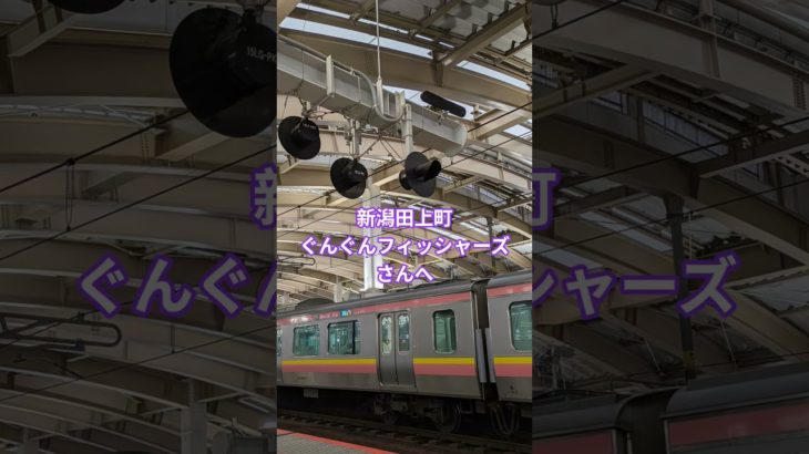 新潟田上町　ぐんぐんフィッシャーズさんへ