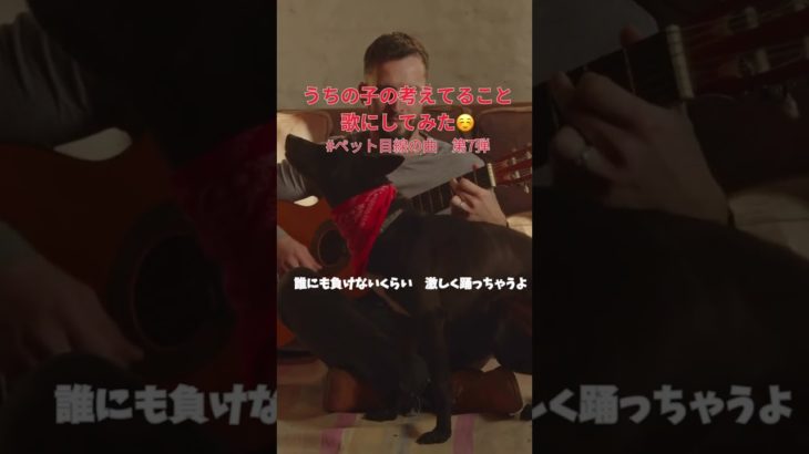 【ペットのこだわりは飼い主への愛】♪これはスキ!あれはキライ!