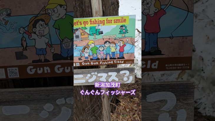 新潟加茂町　ぐんぐんフィッシャーズ