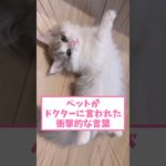 ペットがドクターに言われた衝撃的な言葉ww part174