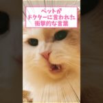ペットがドクターに言われた衝撃的な言葉ww part176