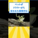 ペットがドクターから言われた衝撃的な言葉www
