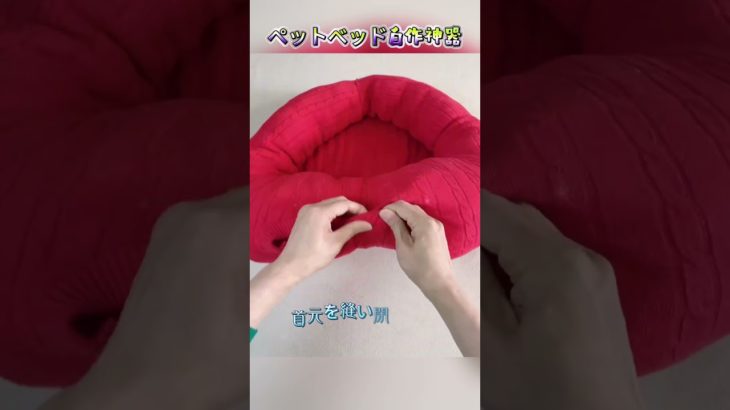 【節約術！古セーターがペットベッドに】専用ベッド不要、セーター1枚でふわふわ暖かい！#生活の知恵 #ペットリメイク #超実用的