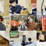 猫ちゃん達と初めての旅行！ペットと泊まれる宿に1泊してみた【長崎ホテル南風楼】