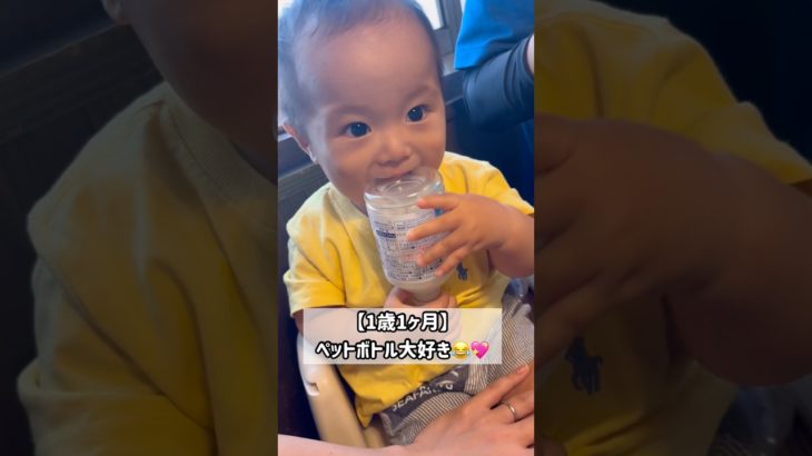 【1歳1ヶ月】ペットボトルブームのつーくん🤩#babyboy #baby #赤ちゃん #赤ちゃんのいる生活 #はるぴょんとつーくんの日常 #子育て #1歳#1歳児#shorts #育児#2歳差#兄弟
