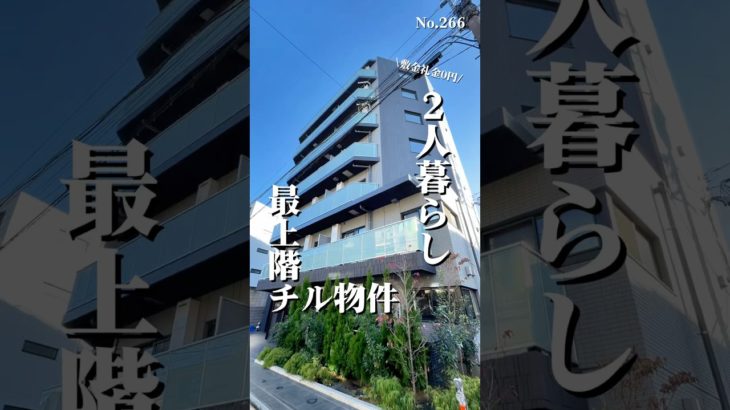2人暮らし 最上階チル物件 敷金礼金ゼロ！#東京ペット可物件 #東京ペット可賃貸 #わんにゃん不動産 #板橋区賃貸#大山駅