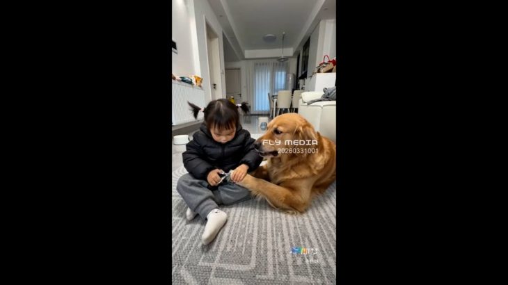 【動物】面白いペット 20260331001