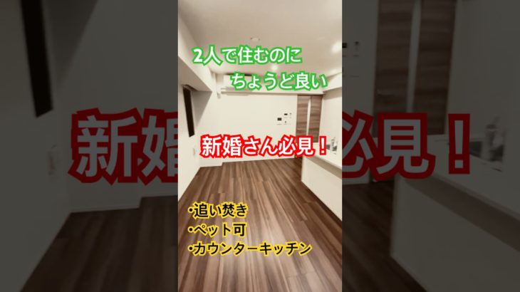 2階角部屋2面採光☆ペットと一緒に生活できます♪#文京区賃貸 #文京区不動産 #ベステックス＃後楽園賃貸＃1LDK