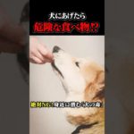 犬に絶対あげてはいけない意外な食べ物⁉︎知らなかったでは済まない危険な3つの食材 #犬 #雑学 #shorts