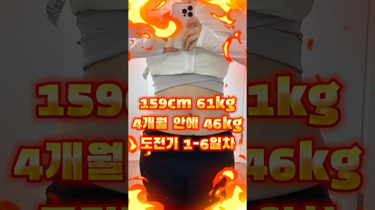 4개월 안에 -15kg 다이어트 도전 일기 1-6일차 #다이어트 #diet #ダイエット