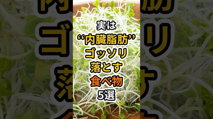 【フォローといいねお願いします😊】実は内臓脂肪をゴッソリ落とす食べ物5選　#健康 #雑学 #予防医療 #医療 #予防 #体調 #内臓脂肪 #脂肪 #ダイエット #脂肪肝