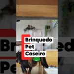 BRINQUEDO PET CASEIRO 🐶😍 #cachorro #pets #diy #shorts