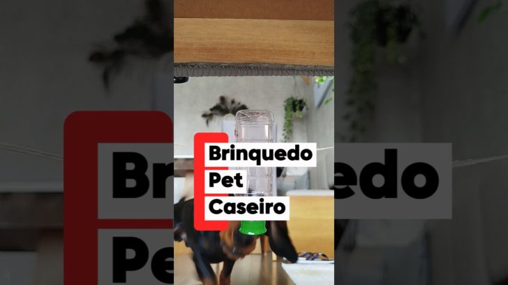 BRINQUEDO PET CASEIRO 🐶😍 #cachorro #pets #diy #shorts
