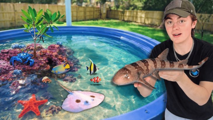 BUYNG Pet SHARK For My Saltwater Tide Pool!!