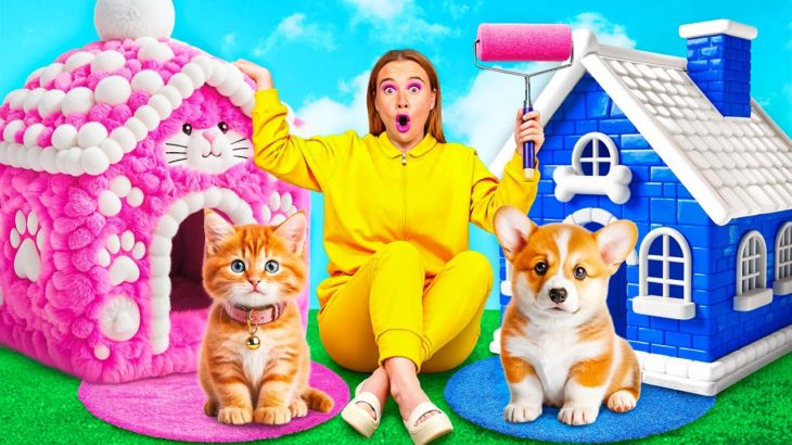 私たちはペットのためのハウスを建てます | 面白い瞬間 BaRaFun Gold Challenge