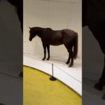 CRAZIEST BEAUTY PACKAGING IN KOREA? LET’S EXPLORE…😳 #kbeauty #seoul #koreanbeauty