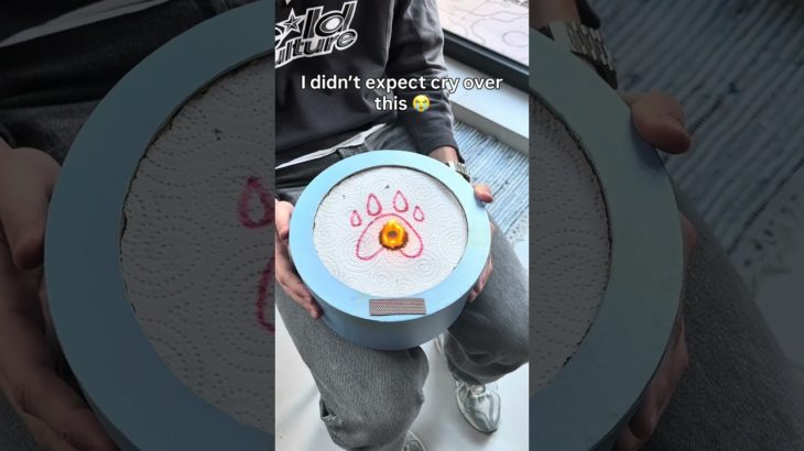 Comment if you lover your pet ❤️🐾 #pets #dogs #dogsofinstagram #dogloss #giftideas