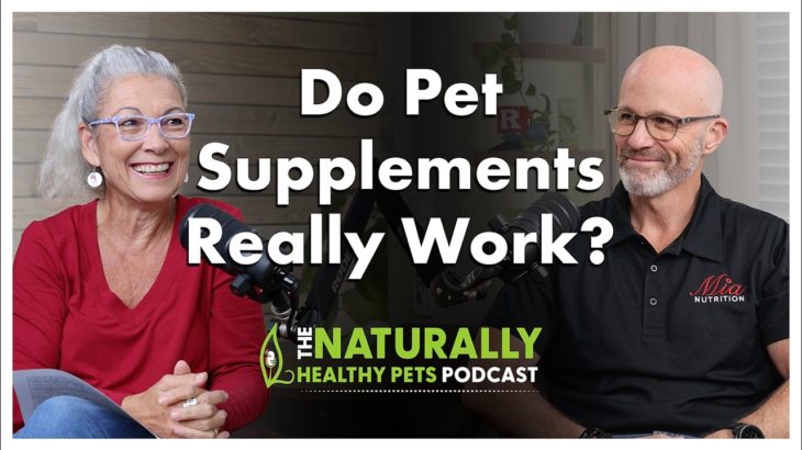 Do Pet Supplements Really Work? | NHP Podcast Ep 75 | Dr. Judy Morgan & Josh Haygood