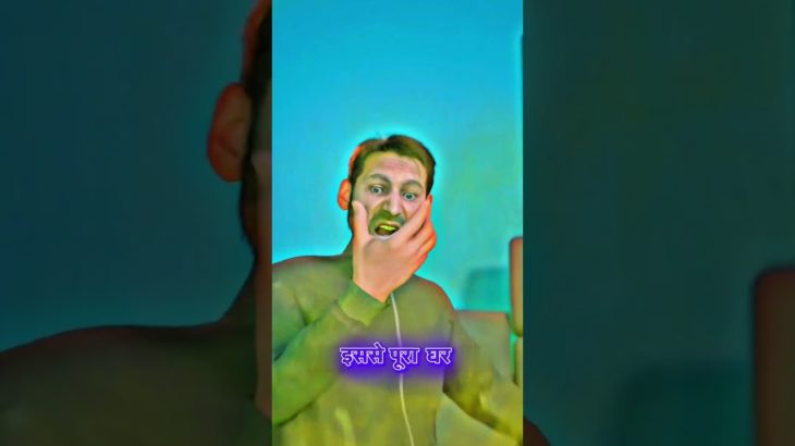 🦊 Fox as a Pet? Big Mistake! 😱 #3D #short