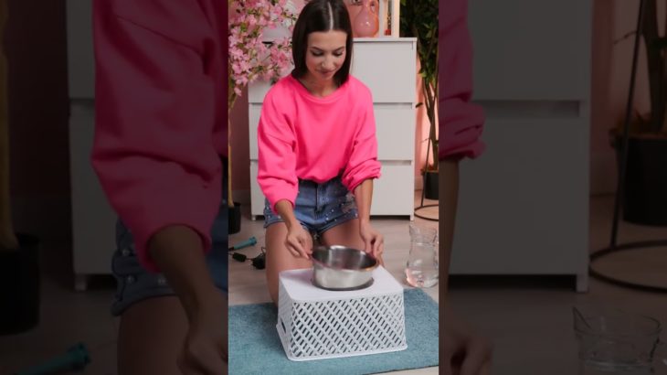 Game-Changing Hacks and Gadgets Every Pet Owner Needs! 🐶✨🔥 #OnlyInAmerica #USLife