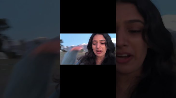 Himachal beauty 💗✨||  Snowfall in dharamshala✨#fypシ゚viral #trending