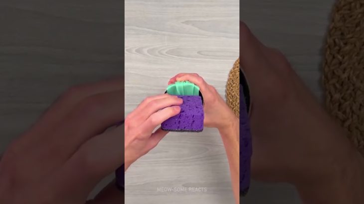 How to leep your pet clean and mud-free! 🚿 #OnlyInAmerica #USLife