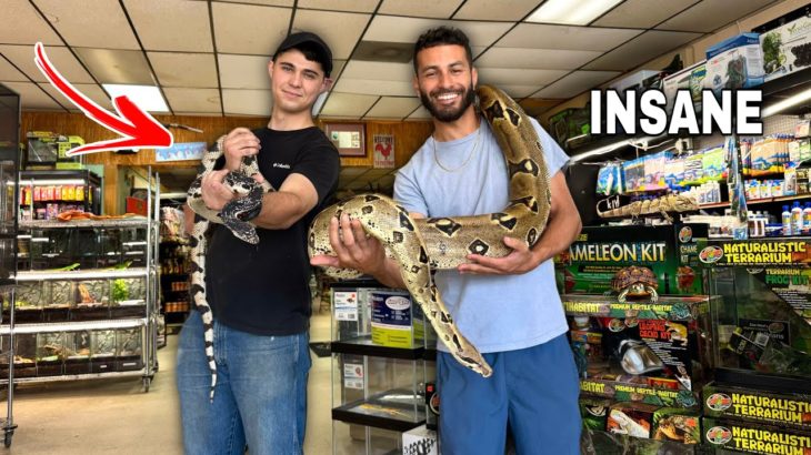 I FOUND The CRAZIEST PET STORE In Florida!