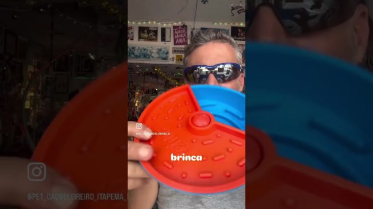 ITAPEMA SC PET SHOP CÃOBELEIREIRO