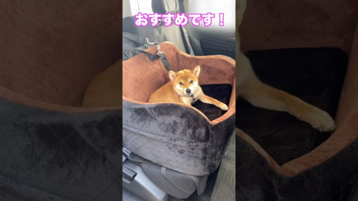 車内でゴージャス空間！ペット用ドライブボックスLealchum