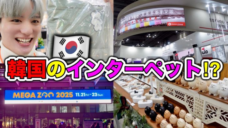 🇰🇷韓国のインターペット！ことMEGAZOOに行ってきました！