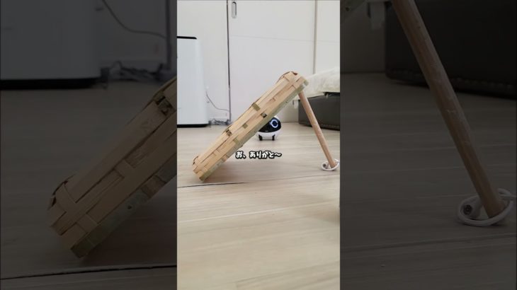 Mission:見守りカメラを捕獲せよ🪤　#見守りロボット #ペットカメラのある暮らし #ロボとーちゃん #探し物  #ROLAMini #whatthepet