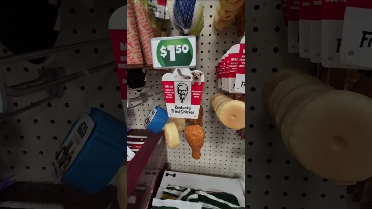New Pet Finds At Dollar Tree #dollartree #shopping #pets #dogs