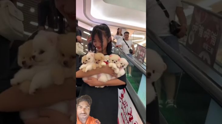 New all my pet’s one big hug🤗 #angelrai #angelrai #hugh #pets #petsfofinhos