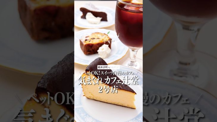【軽井沢お店紹介】ペットOK！スイーツ自慢のカフェ「気まぐれカフェ辻堂2号店」 #shorts #軽井沢 #cafe #犬との暮らし