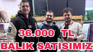 PET SHOPDA 36.000 TL LİK BALIK SATISIMIZ