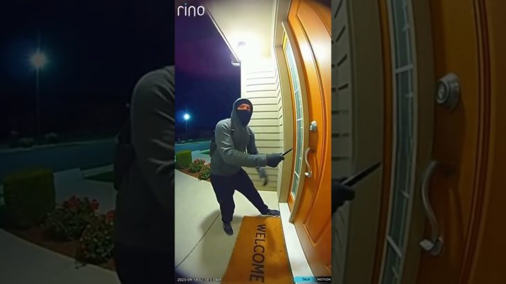 POV: Someone tries to get into your house, but your pet saved you #viral #povunfiltered #pov #shorts