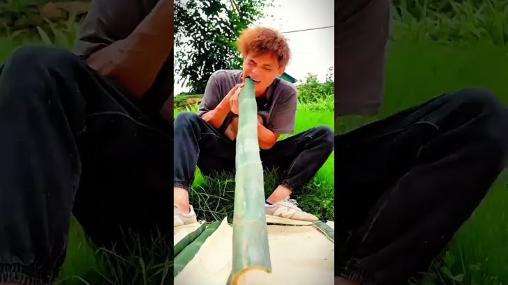 Rahul or reeta pet ☺️ #shorts #viral