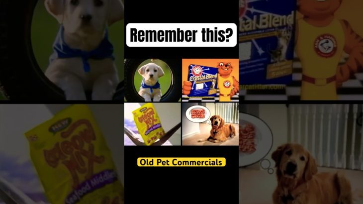 Remember these Forgotten Pet Commercials? #nostalgia
