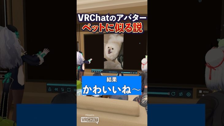 ペットと飼い主のアバター、絶対似る説 #Shorts #VRChat #Vket #ペット