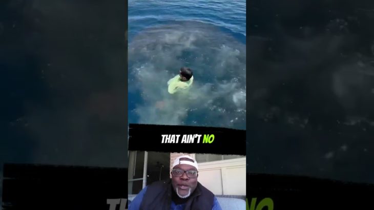 THATS not a pet its a wild animal