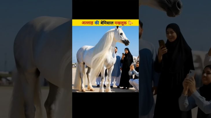 The Beauty Created by Allah 🐎😱 #islamichistory #facts #shortvideo