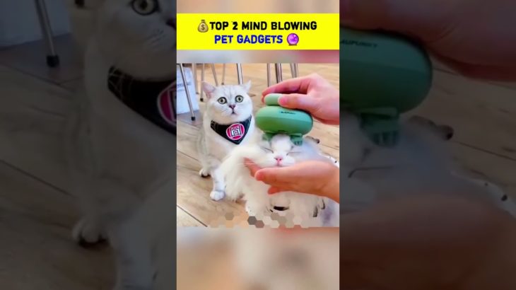 ⚡Top 2 Mimd Blowing Pet Gadgets⚡Amazing Pet Gadgets Telugu⚡#shorts #viral #gadgets