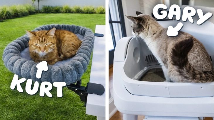 Trying ‘Must Have’ Pet Products (Autoscooper, Unbreakable Wand, & more)